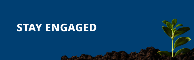 Stay engaged