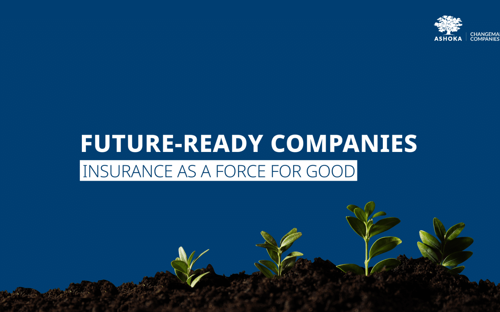 Newsletter Insurance Banner
